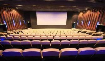 东莞电影院爆料新闻最新,最新爆料揭示惊心动魄一幕